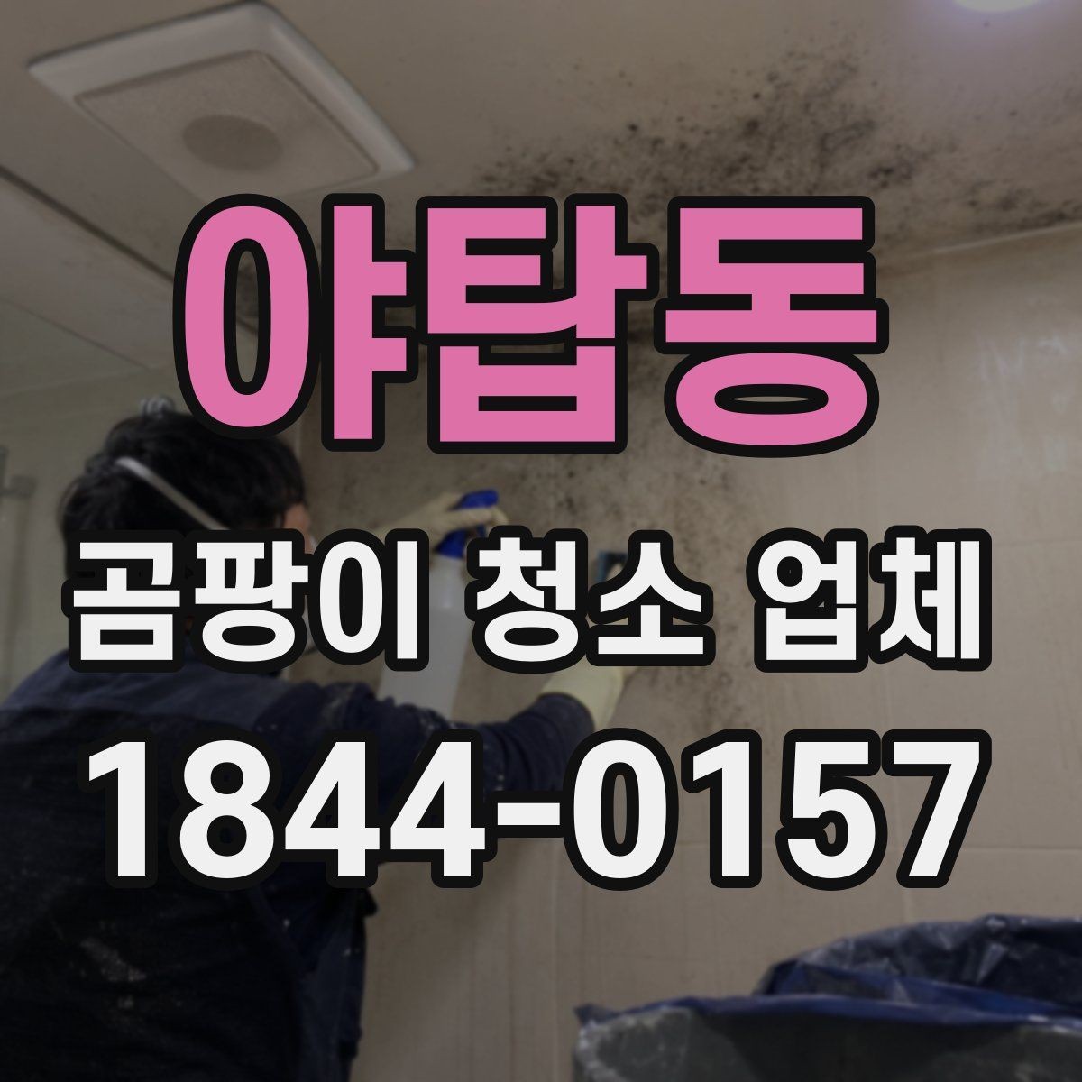 야탑동 곰팡이 청소 업체 고를 때 놓치기 쉬운 부분