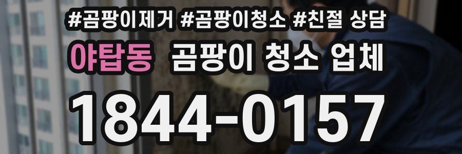 야탑동 곰팡이 청소 업체