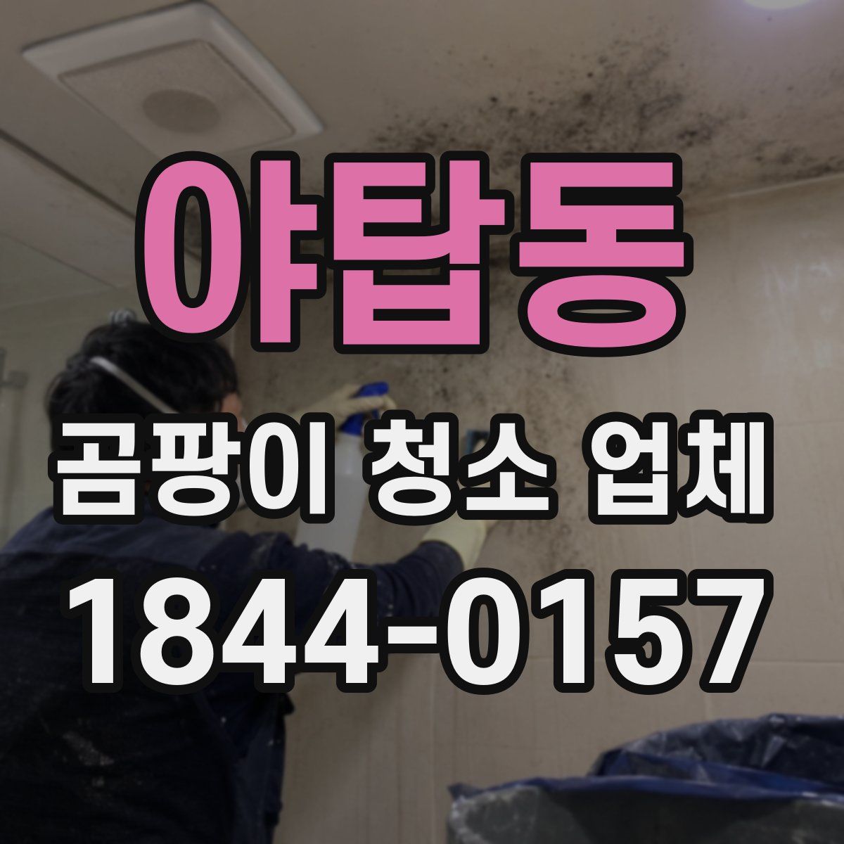 야탑동 곰팡이 청소 업체