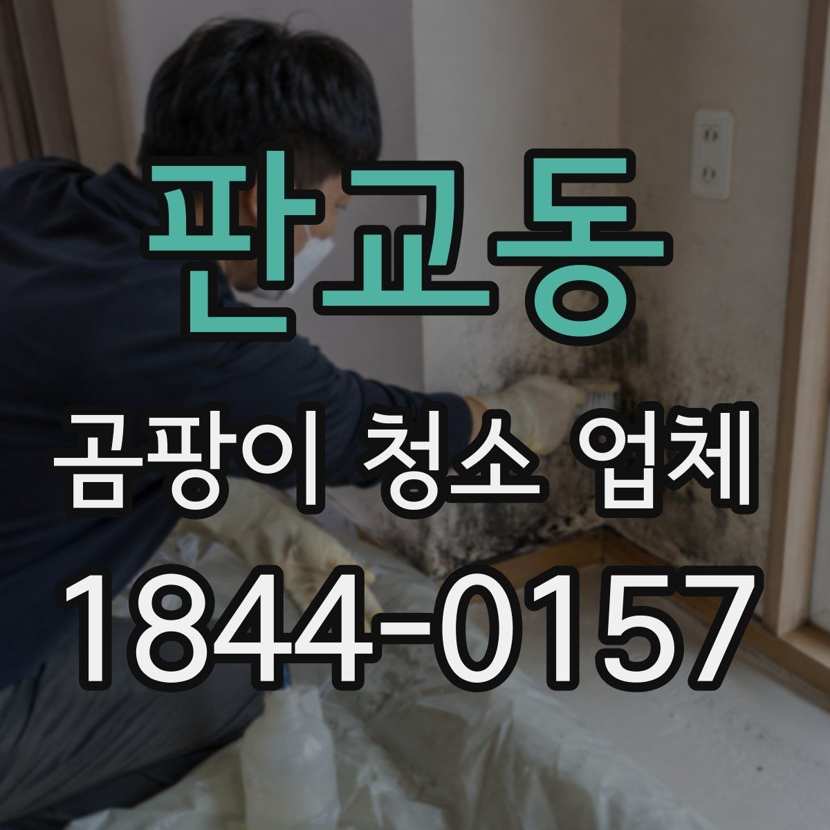 판교동 곰팡이 청소 업체