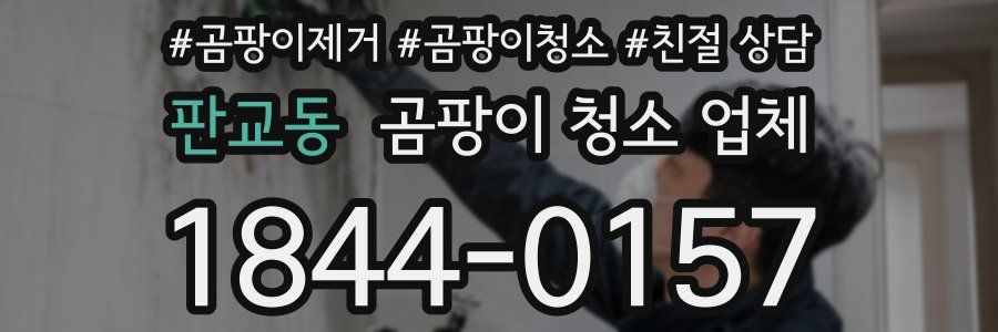 판교동 곰팡이 청소 업체