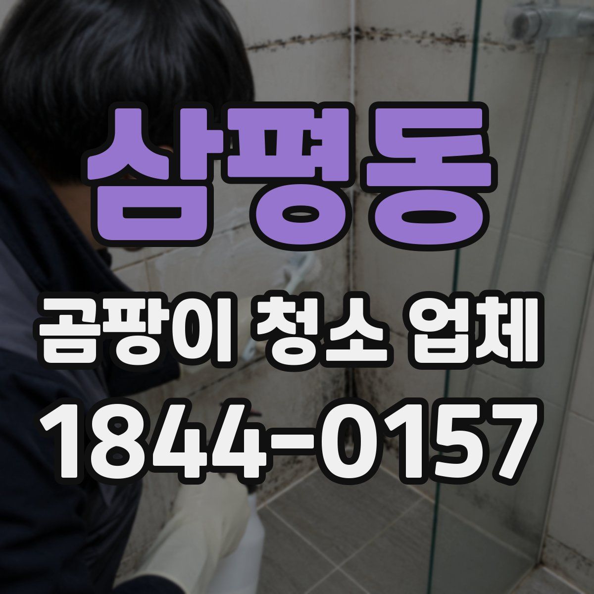삼평동 곰팡이 청소 업체