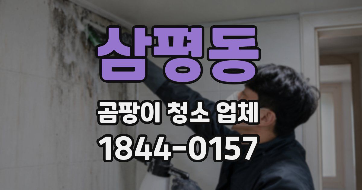 삼평동 곰팡이 청소 업체