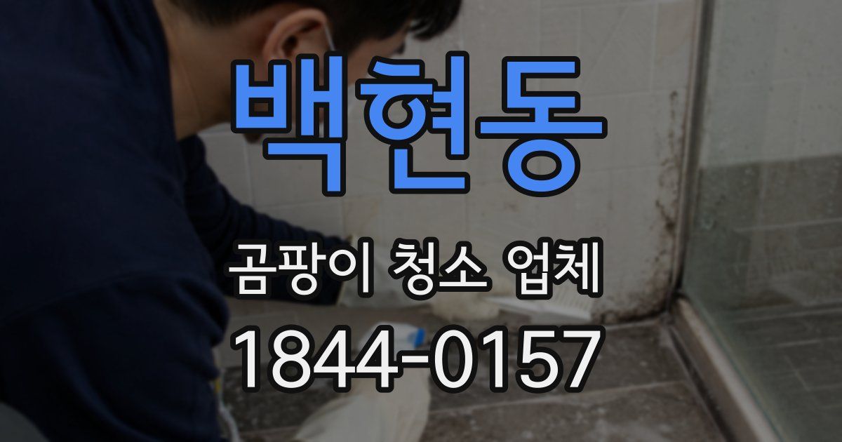 백현동 곰팡이 청소 업체