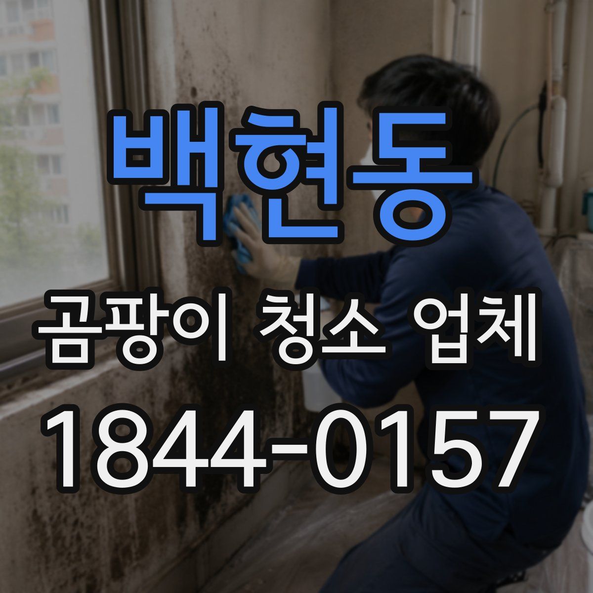 백현동 곰팡이 청소 업체