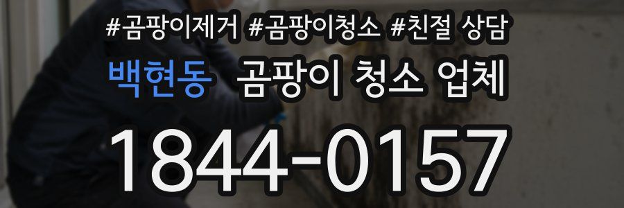 백현동 곰팡이 청소 업체