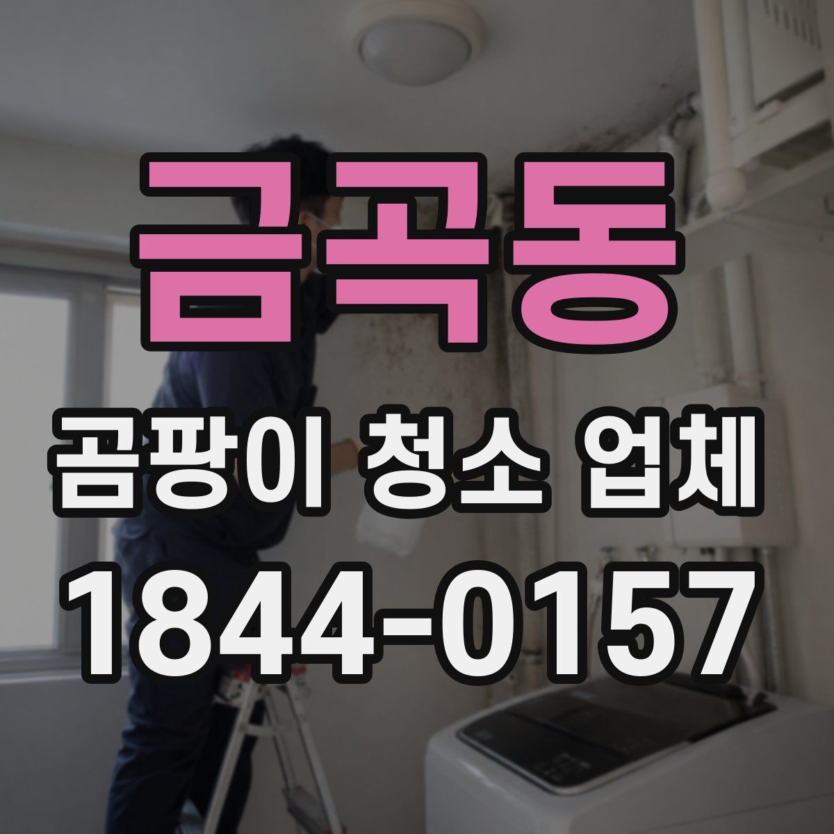 금곡동 곰팡이 청소 업체