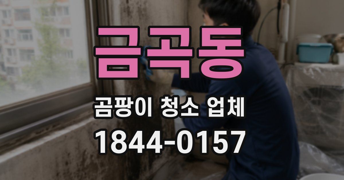 금곡동 곰팡이 청소 업체