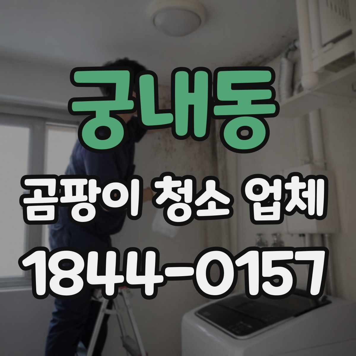 궁내동 곰팡이 청소 업체