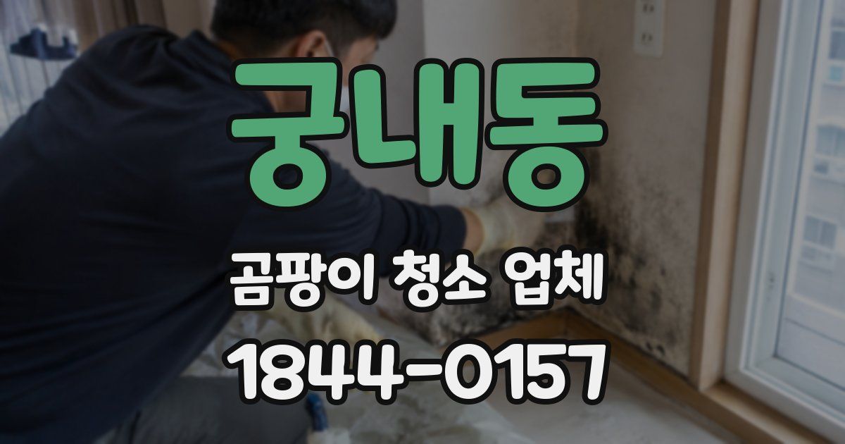 궁내동 곰팡이 청소 업체