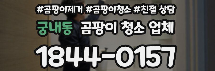 궁내동 곰팡이 청소 업체