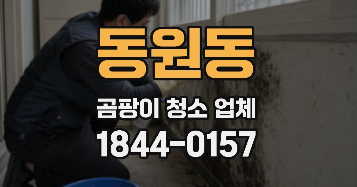 동원동 곰팡이 청소 업체