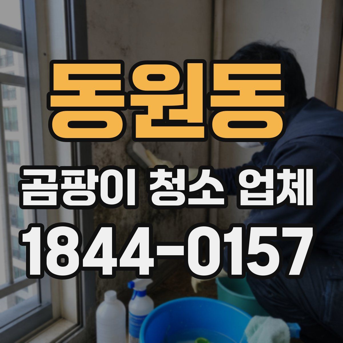 동원동 곰팡이 청소 업체