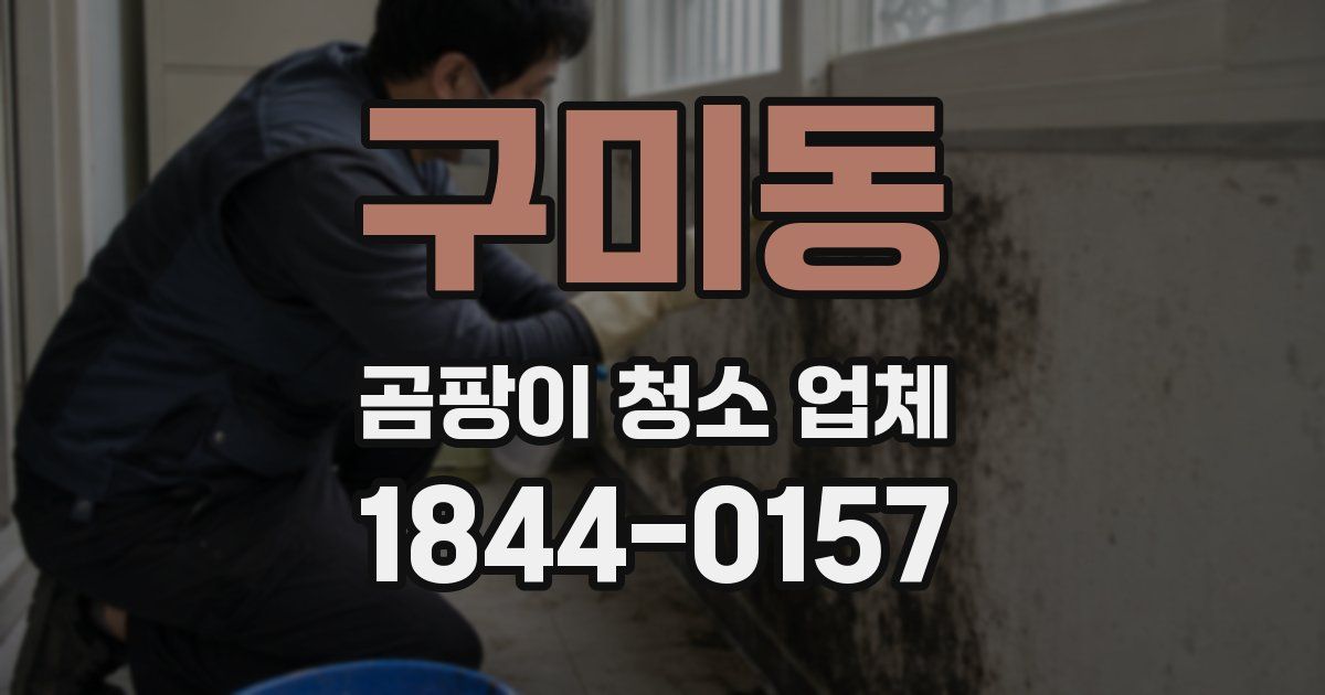 구미동 곰팡이 청소 업체