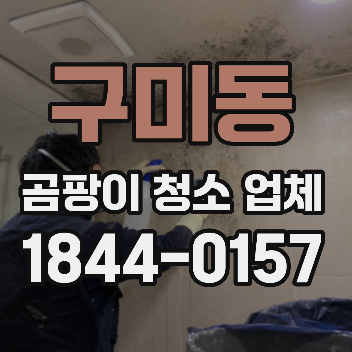 구미동 곰팡이 청소 업체