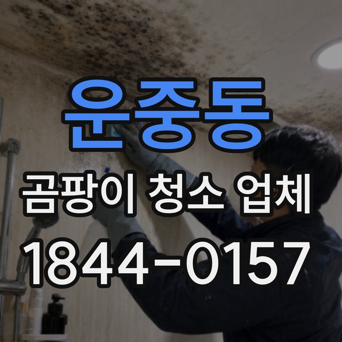 운중동 곰팡이 청소 업체