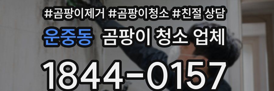 운중동 곰팡이 청소 업체