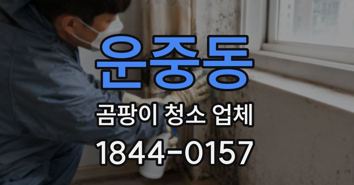 운중동 곰팡이 청소 업체