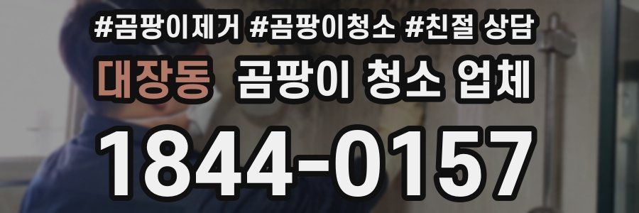 대장동 곰팡이 청소 업체