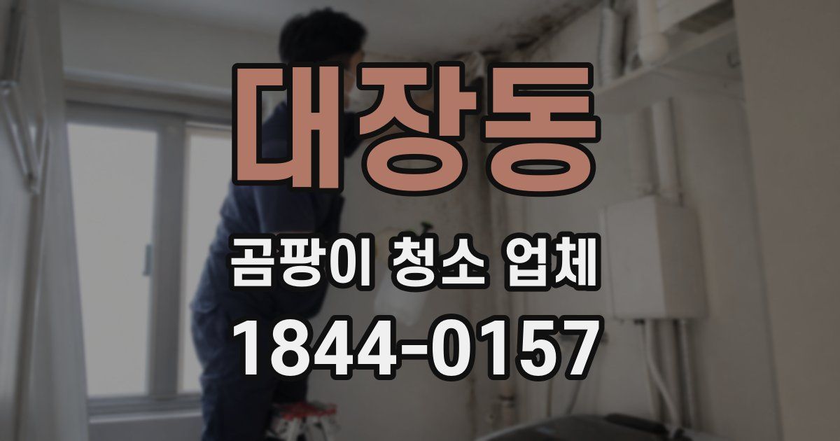 대장동 곰팡이 청소 업체