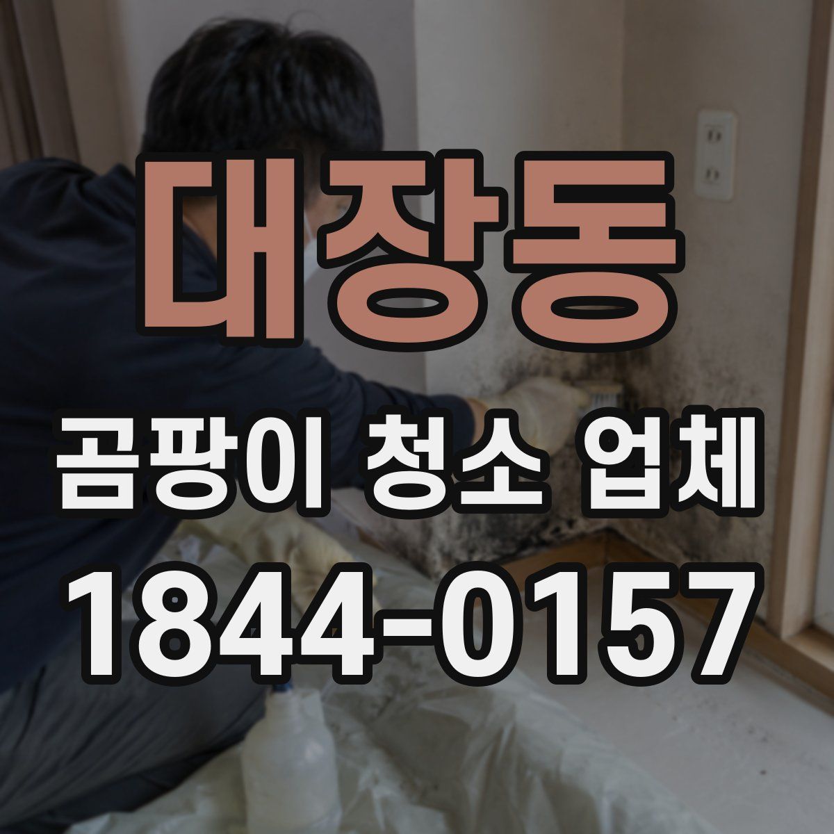 대장동 곰팡이 청소 업체