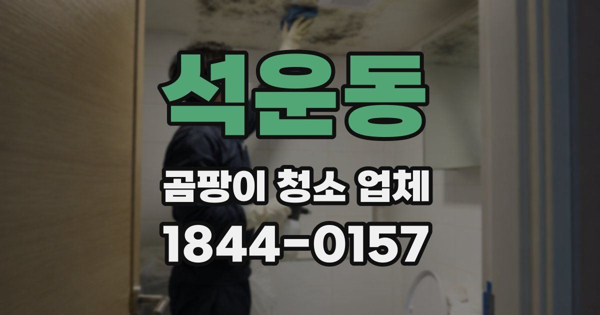 석운동 곰팡이 청소 업체