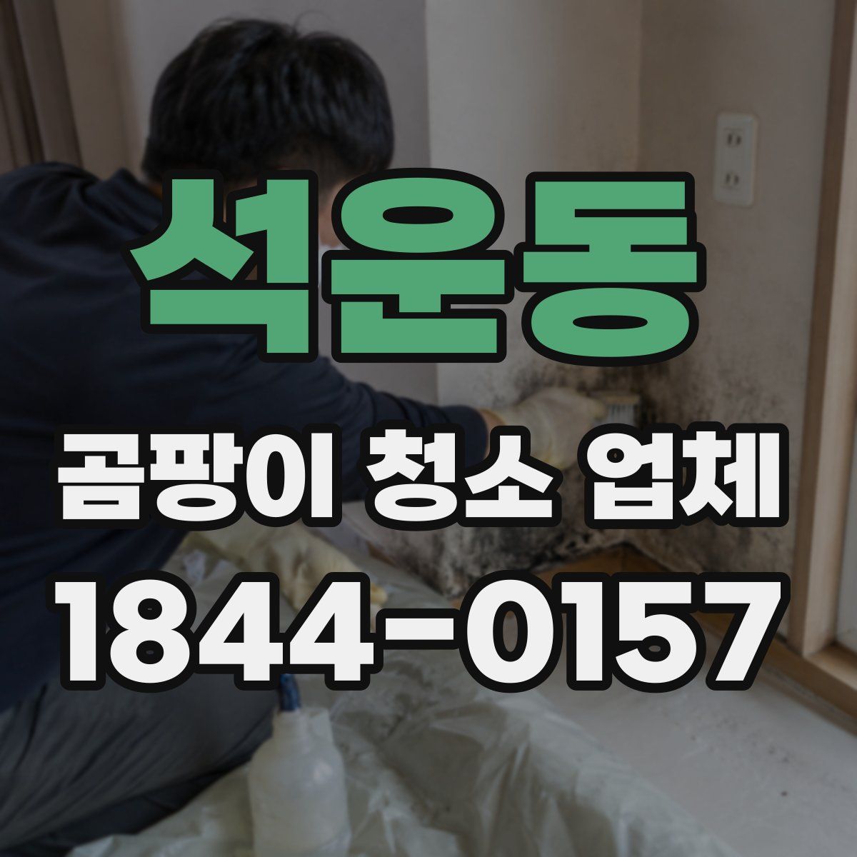 석운동 곰팡이 청소 업체