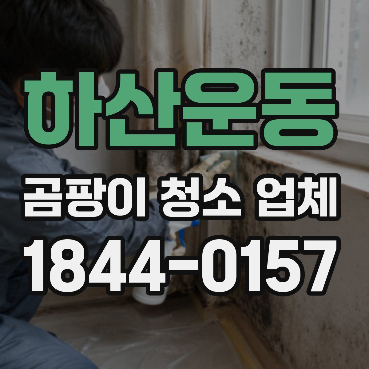 하산운동 곰팡이 청소 업체