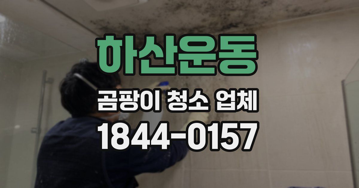 하산운동 곰팡이 청소 업체
