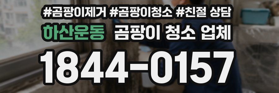 하산운동 곰팡이 청소 업체