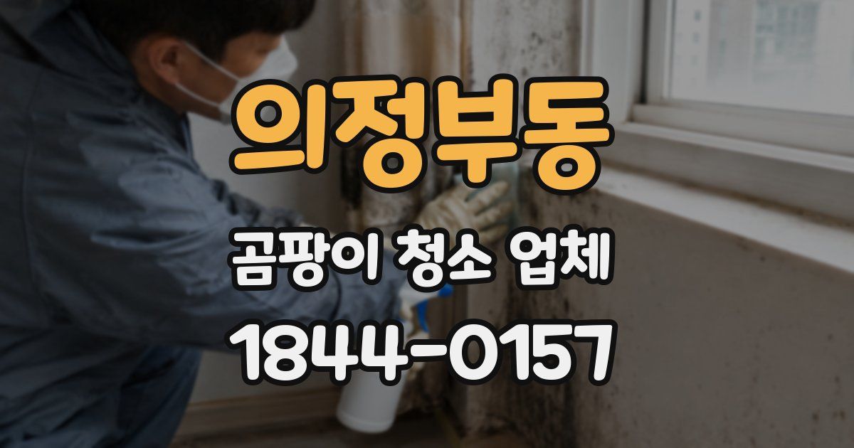 의정부동 곰팡이 청소 업체