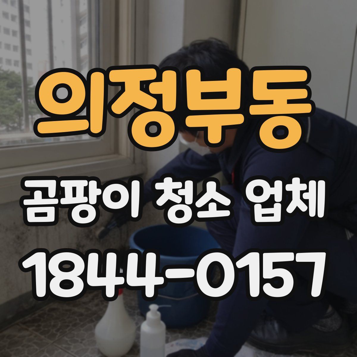 의정부동 곰팡이 청소 업체