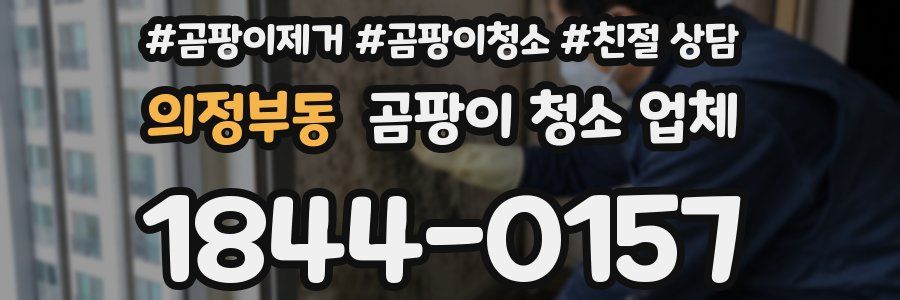 의정부동 곰팡이 청소 업체