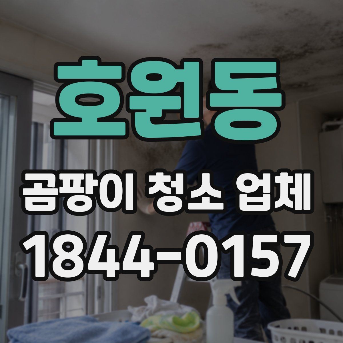 호원동 곰팡이 청소 업체 활용 전 알아두면 좋은 점