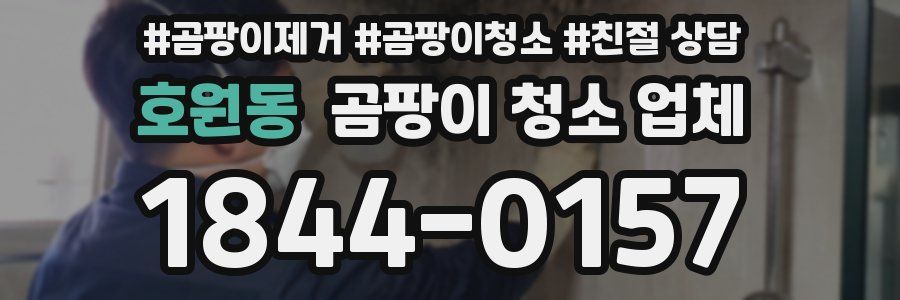호원동 곰팡이 청소 업체