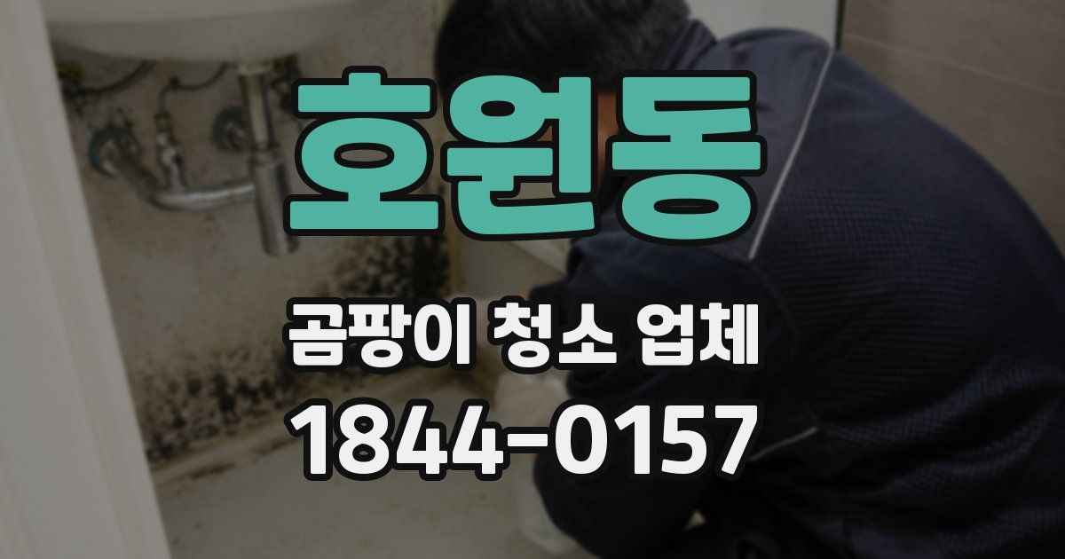 호원동 곰팡이 청소 업체