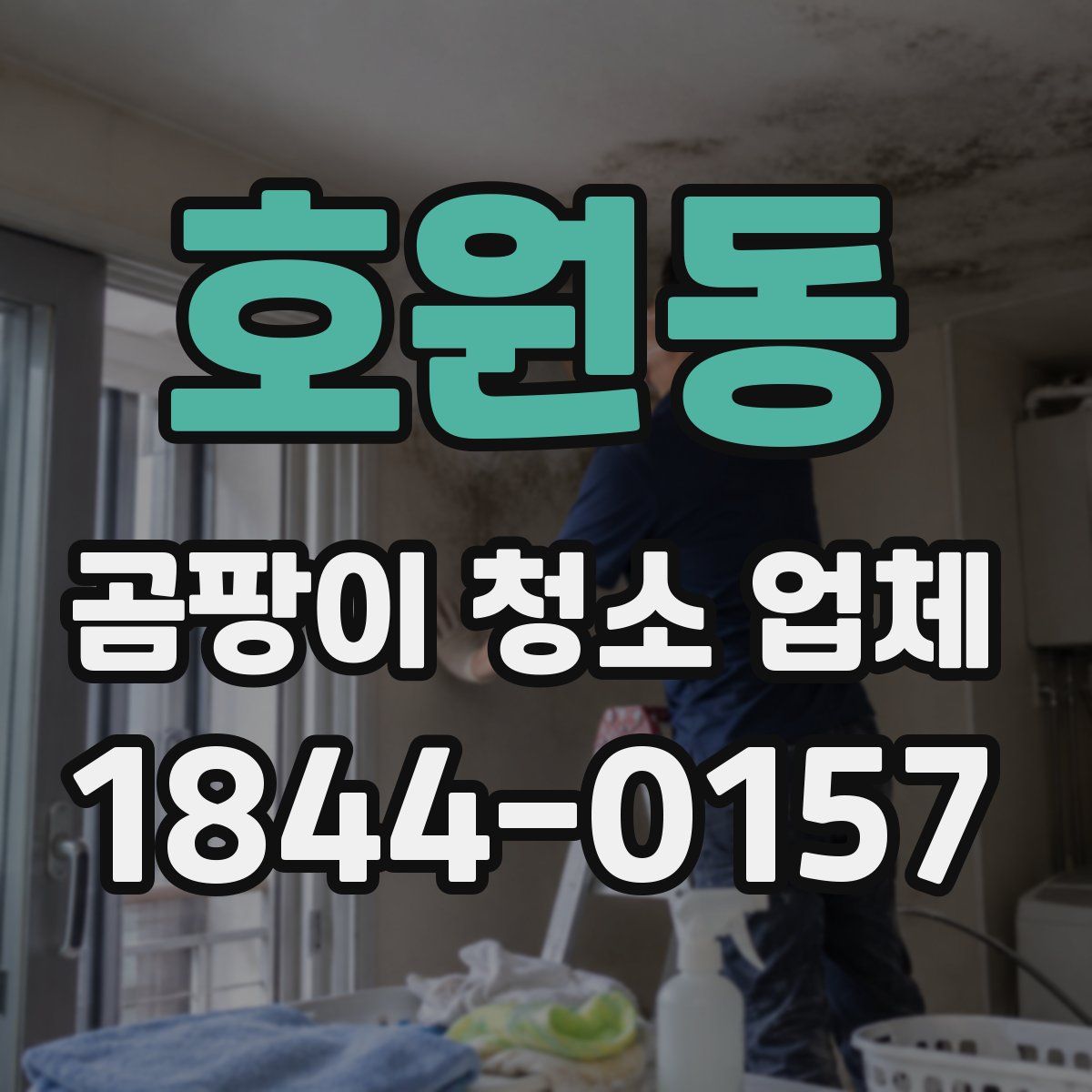 호원동 곰팡이 청소 업체