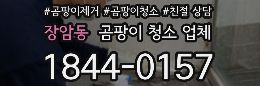 장암동 곰팡이 청소 업체