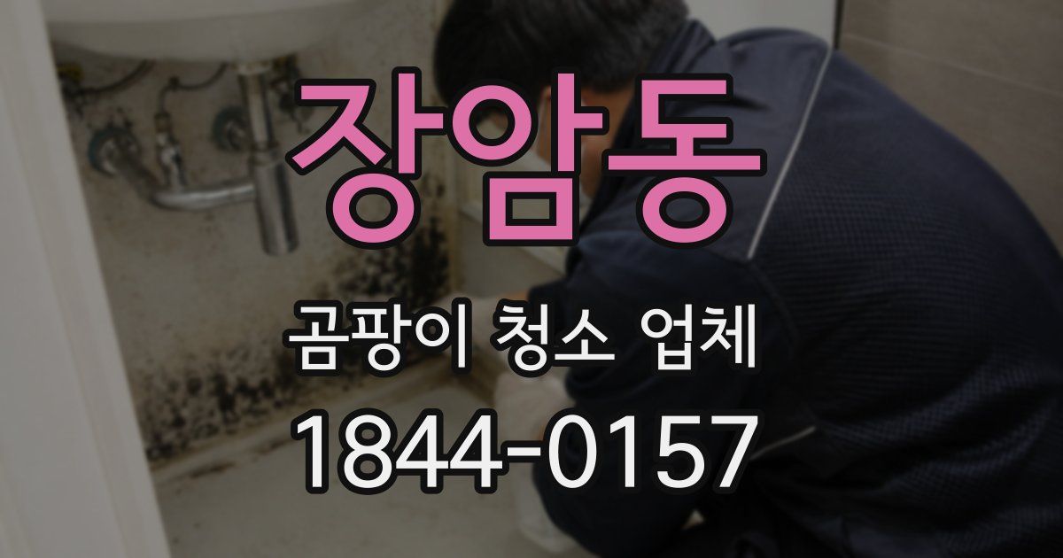 장암동 곰팡이 청소 업체