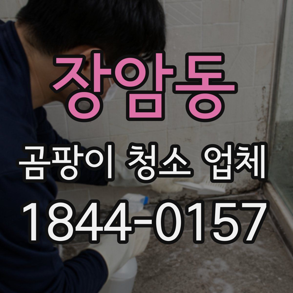 장암동 곰팡이 청소 업체