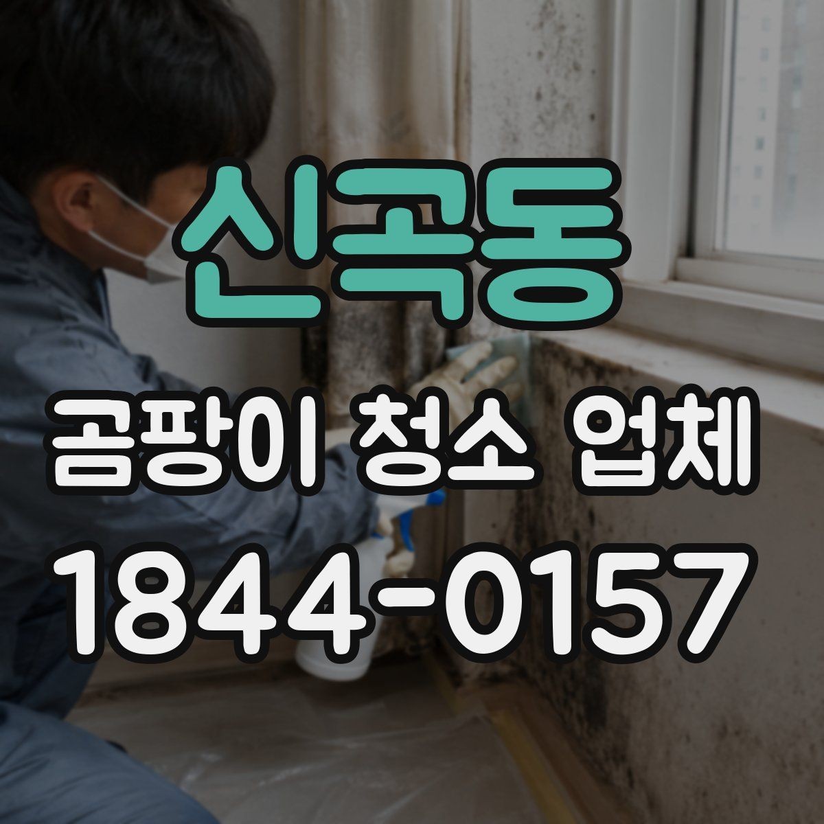 신곡동 곰팡이 청소 업체 선택 시 현장 방문 여부 확인