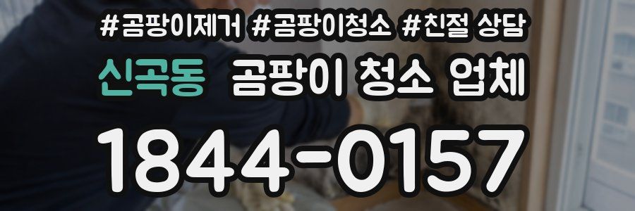 신곡동 곰팡이 청소 업체