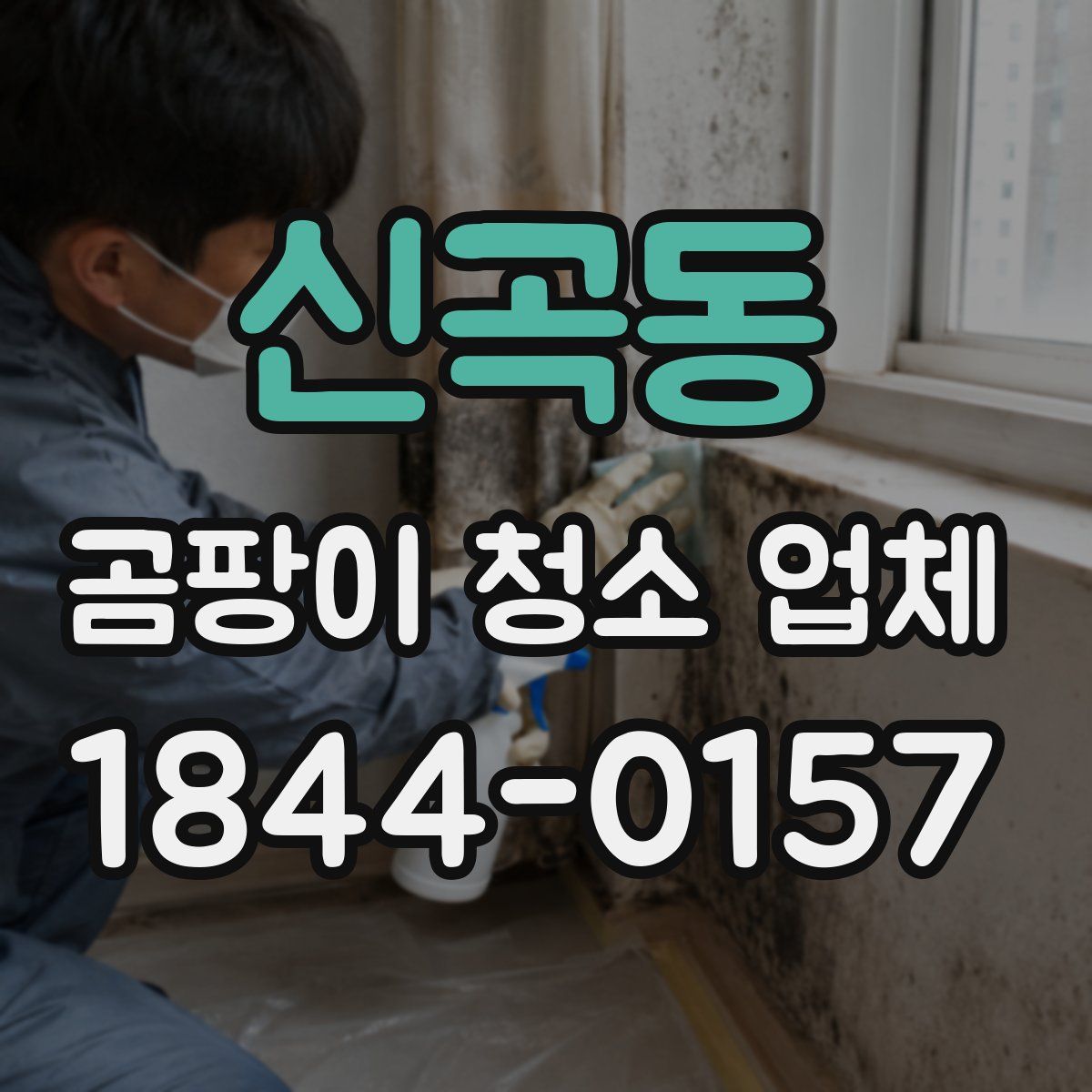 신곡동 곰팡이 청소 업체