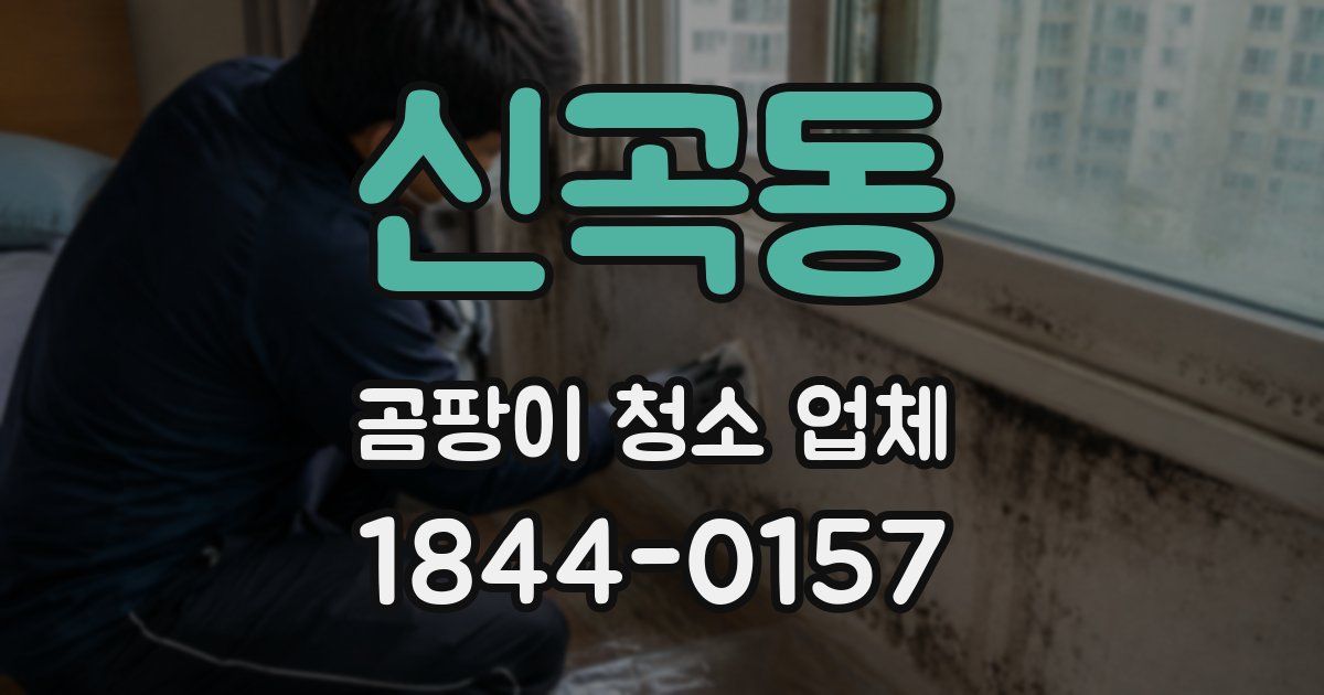 신곡동 곰팡이 청소 업체