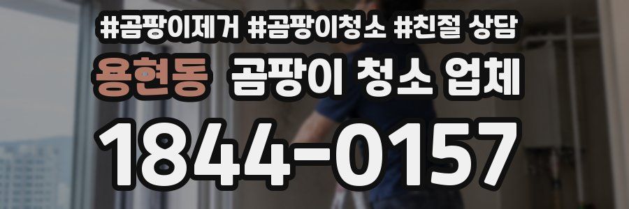 용현동 곰팡이 청소 업체