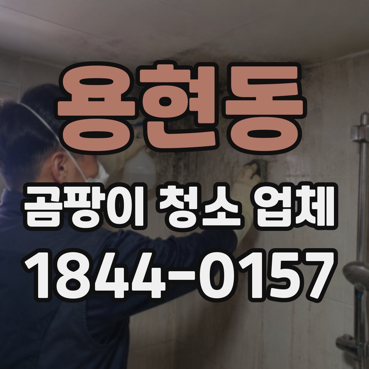 용현동 곰팡이 청소 업체