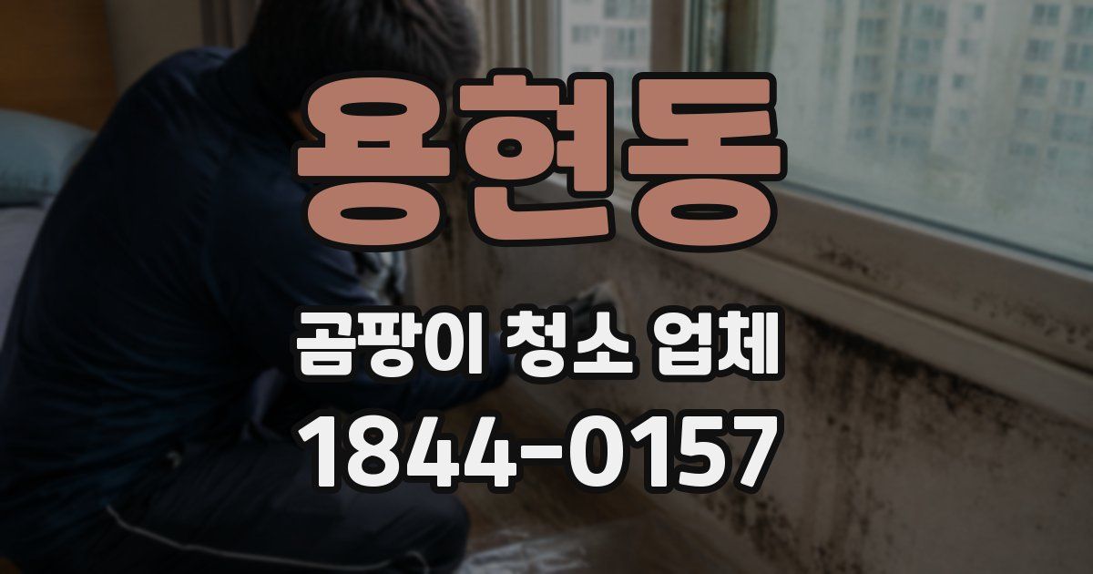 용현동 곰팡이 청소 업체
