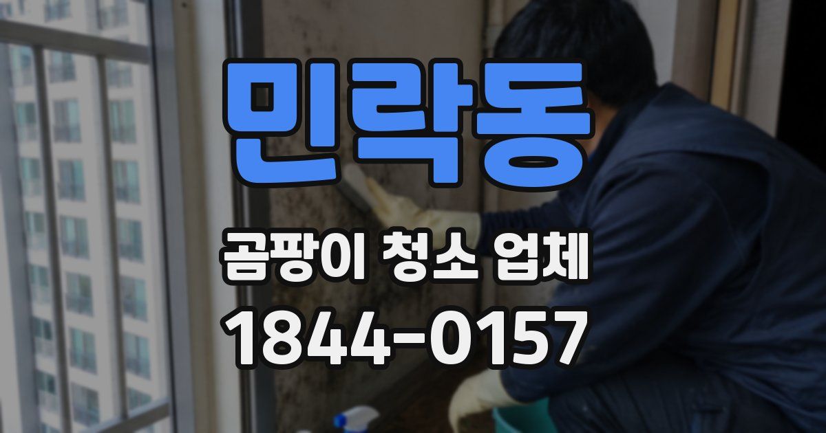 민락동 곰팡이 청소 업체