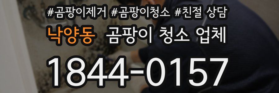 낙양동 곰팡이 청소 업체