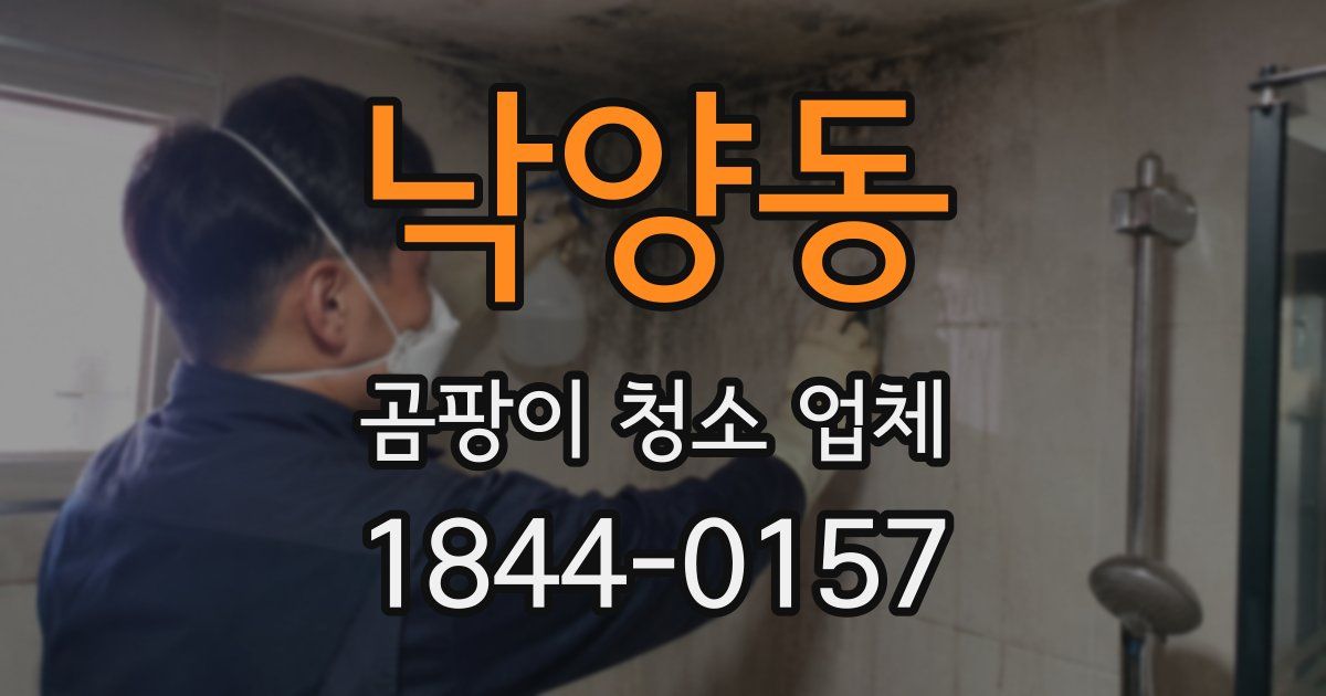 낙양동 곰팡이 청소 업체